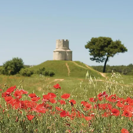 Appartamento Gorgeous In Zukve *